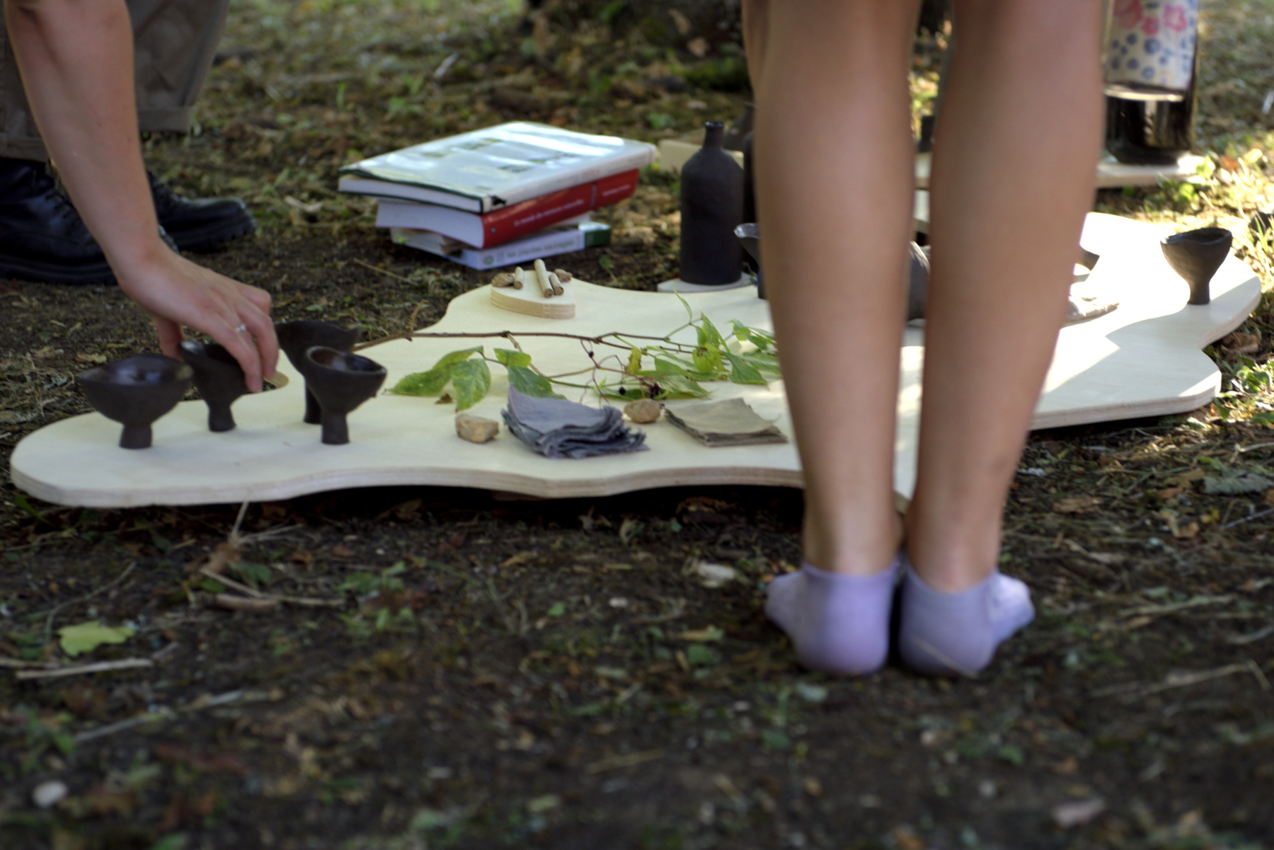 Photo du spectacle Des végétaux qui se nomment